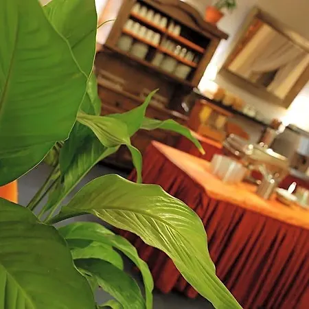 Hotel Aron 3*